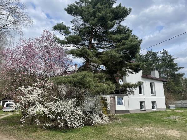 „Dary Lasu” - apartamenty i domek w lesie blisko zalewu