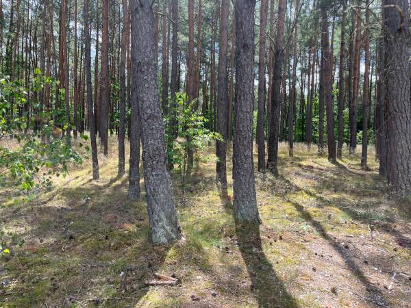 Kocanówka - osada artystyczna