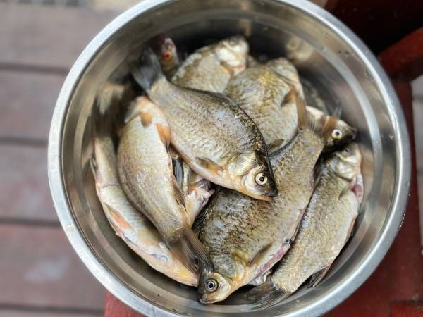 Kocanówka - osada artystyczna