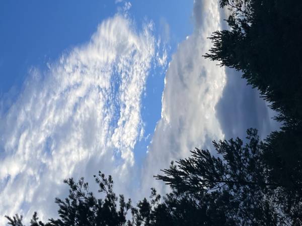 Kocanówka - osada artystyczna