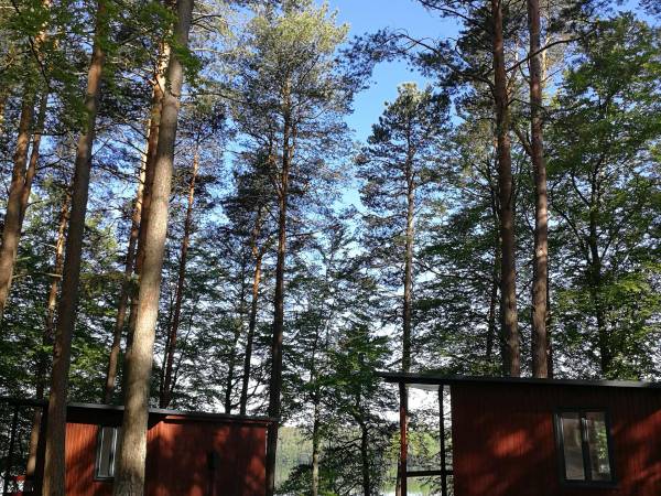 Domki na Kaszubach nad Jeziorem Mausz