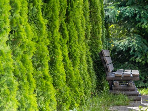 Ośrodek Wypoczynkowy Swallow