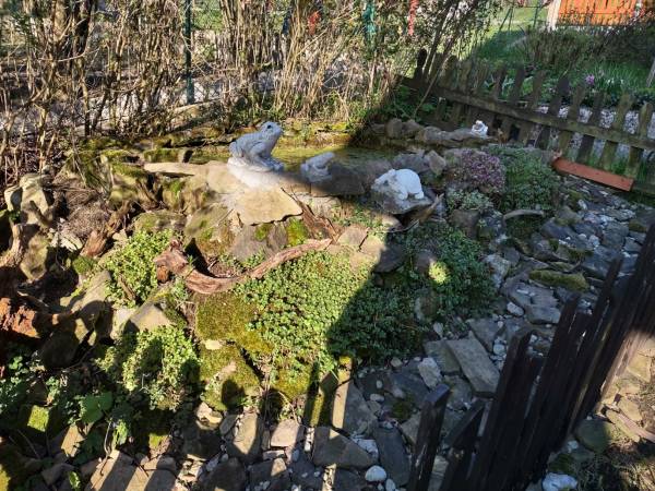 Wiele wczasowiczek próbowało uratować zaklętego w żabę księcia. Jak dotąd żadnej się nie udało.