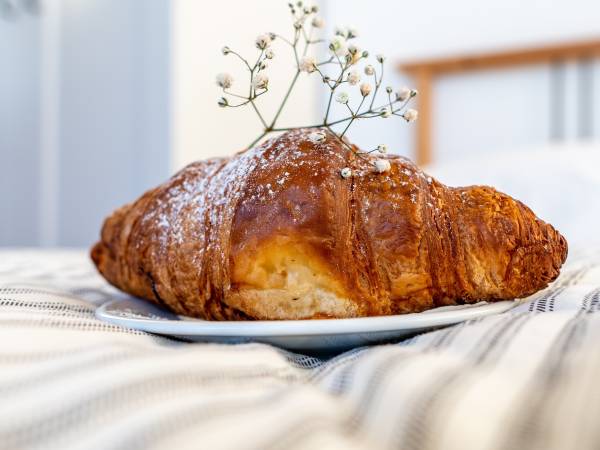 Ośrodek Wypoczynkowy Swallow