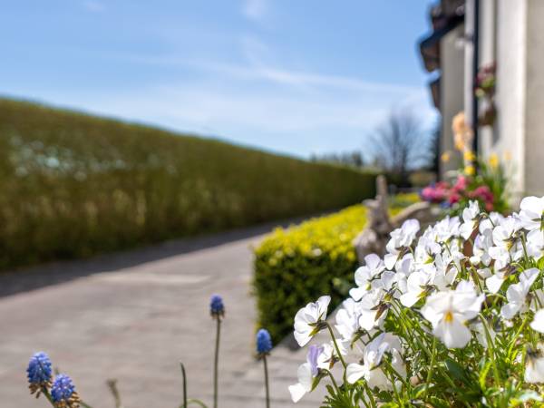 Ośrodek Wypoczynkowy Swallow