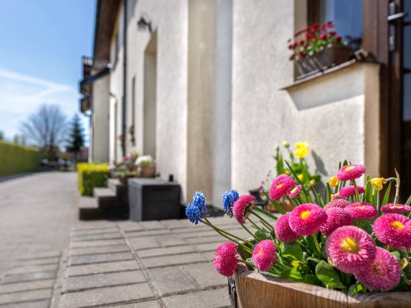 Ośrodek Wypoczynkowy Swallow