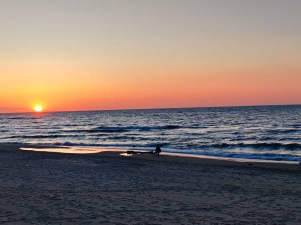 Ośrodek Domków Letniskowych Riviera