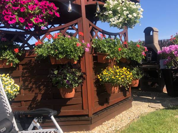 Komfortowe Domki Letniskowe Marlin