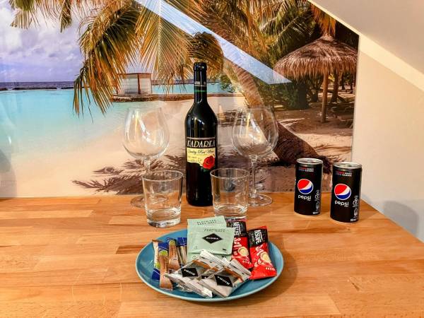 Pokój 301 na poddaszu ze skosami