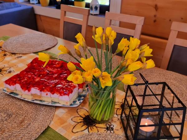 Agrodomki z bali Konradów