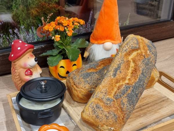 Agrodomki z bali Konradów