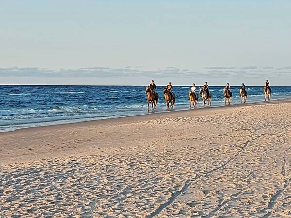 nasze piękne morze i plaża 