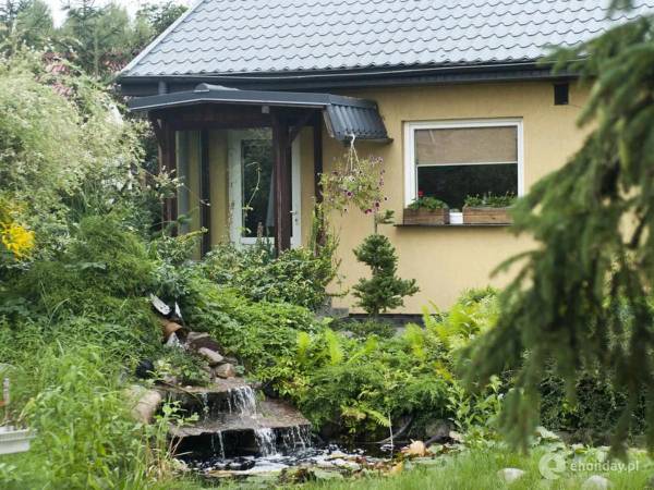 Mieszkania i Pokoje do wynajęcia