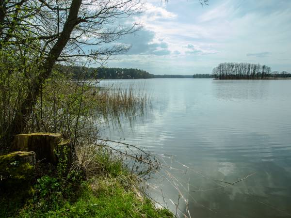 Domki letniskowe i kwatery- Natać Mała