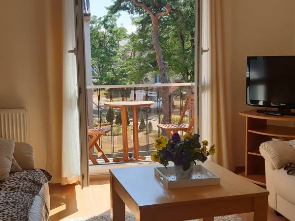 salon, widok balkonu