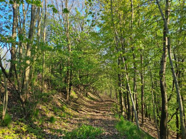 Słoneczne Domki Sudety Kotlina Kłodzka 