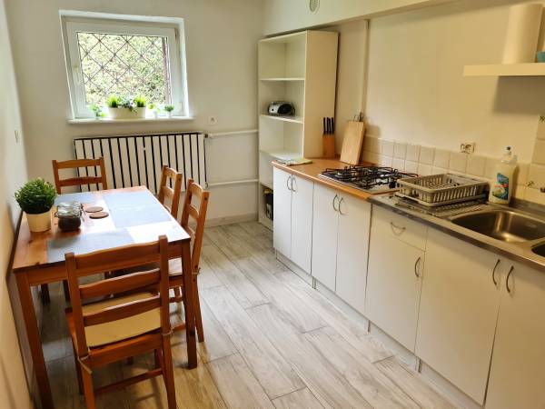 Apartament Zosia: kuchnia