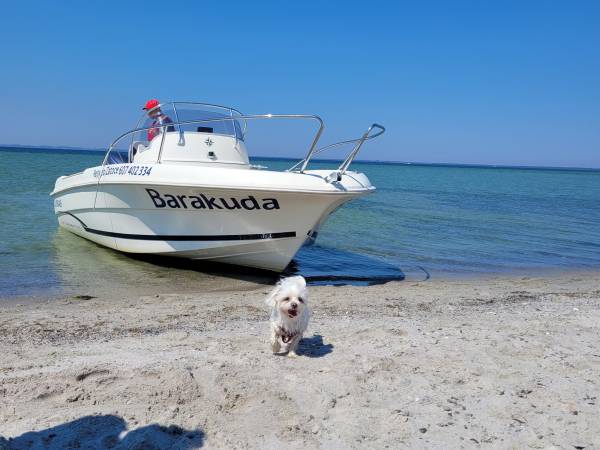 Barakuda Chałupy Domek letniskowy i Apartamenty