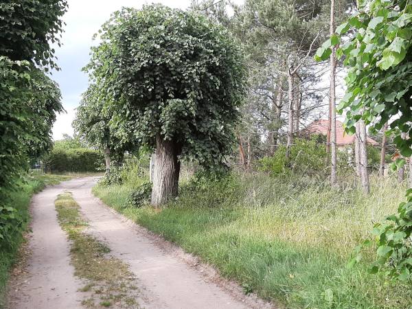 Willa Mazowiecka - dojazd od ulicy Gdańskiej