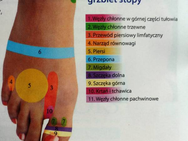 Willa Balance Zakopane & SPA