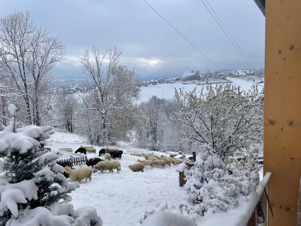 Dom na Rusińskim 11