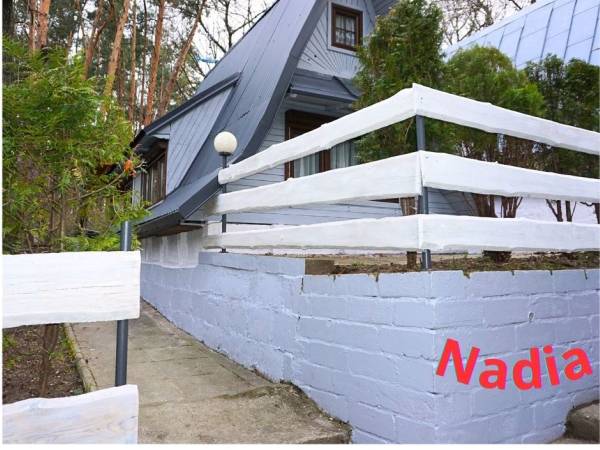 Domek Letniskowy NADIA, WIKTORIA Skorochów 