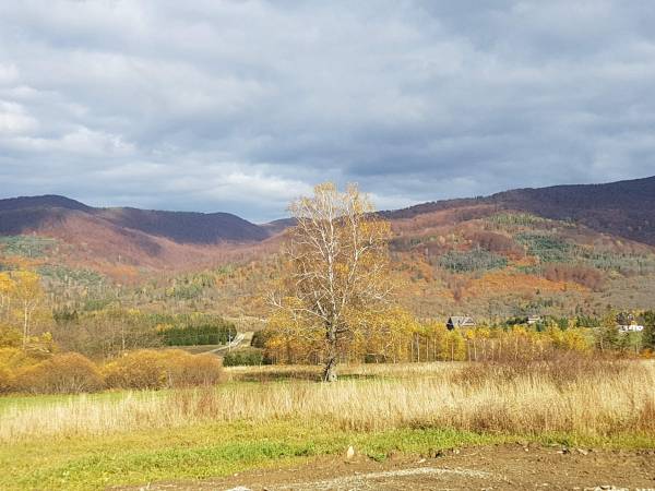 Pańskiemisie - Domki Całoroczne Sauna Jacuzzi