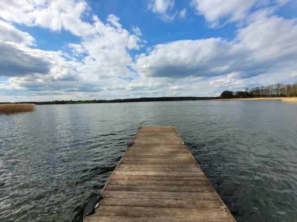 Pomost na leśnej polanie