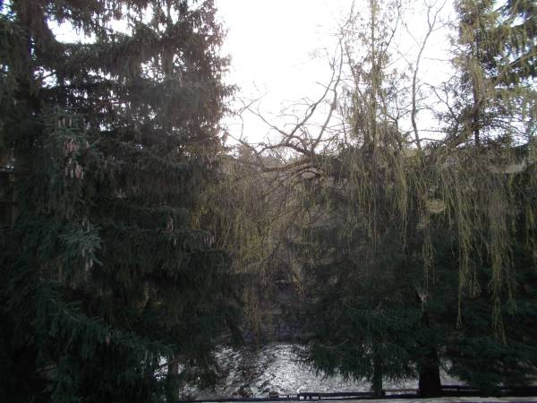 Apartament-widok z balkonu