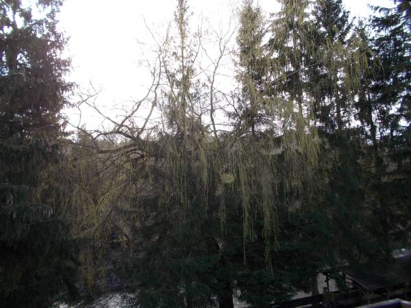 Apartament-widok z balkonu