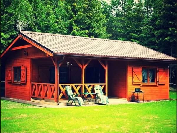 Domki w Borach- Mała Główka