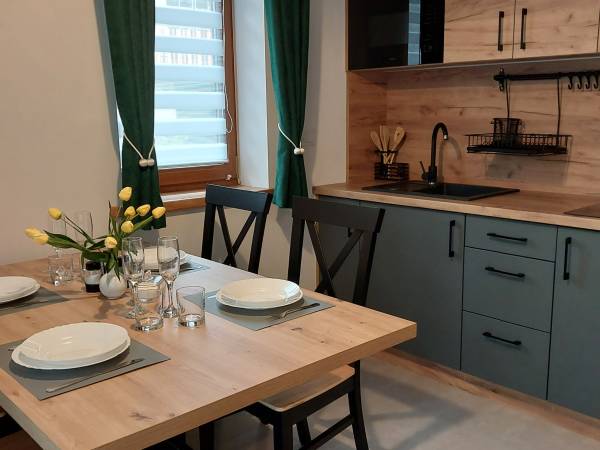 Kuchnia w domku 6-osobowym