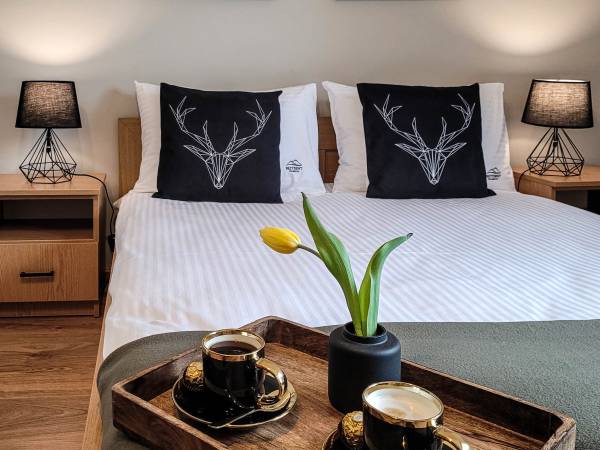 pokój 2-osobowy z łazienką i widokiem na Jezioro Solińskie