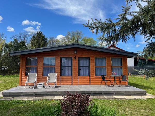 POD SKAMIENIAŁYM MIASTEM 