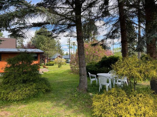 POD SKAMIENIAŁYM MIASTEM 