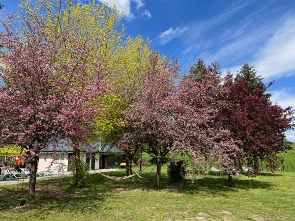 POD SKAMIENIAŁYM MIASTEM 