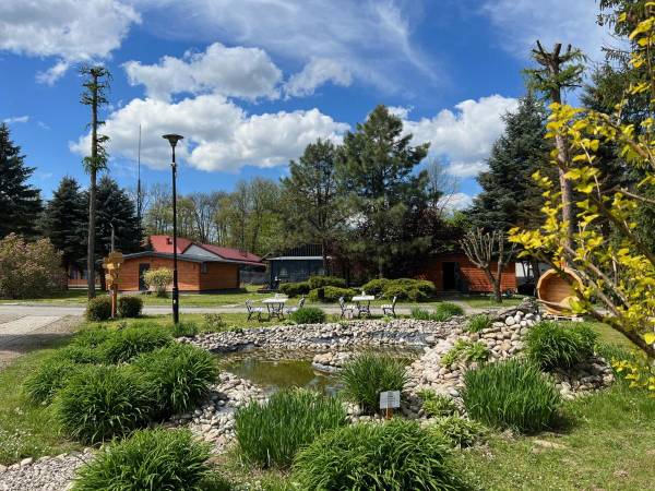 POD SKAMIENIAŁYM MIASTEM 