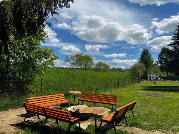 POD SKAMIENIAŁYM MIASTEM 