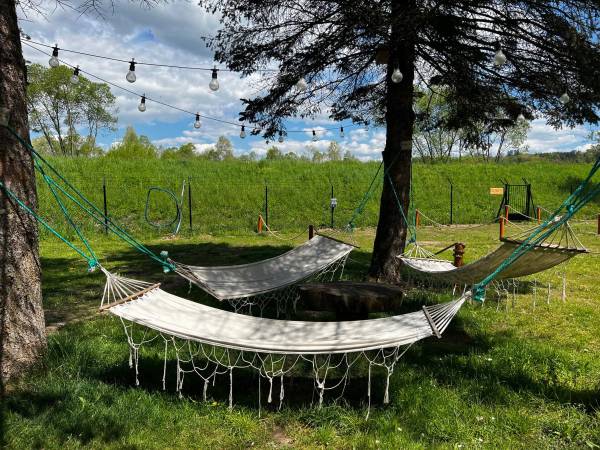 POD SKAMIENIAŁYM MIASTEM 