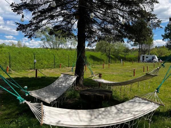 POD SKAMIENIAŁYM MIASTEM 