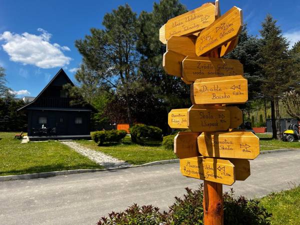 POD SKAMIENIAŁYM MIASTEM 