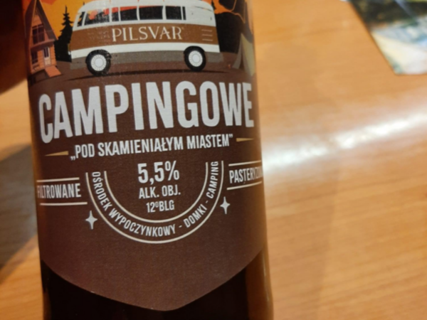 POD SKAMIENIAŁYM MIASTEM 