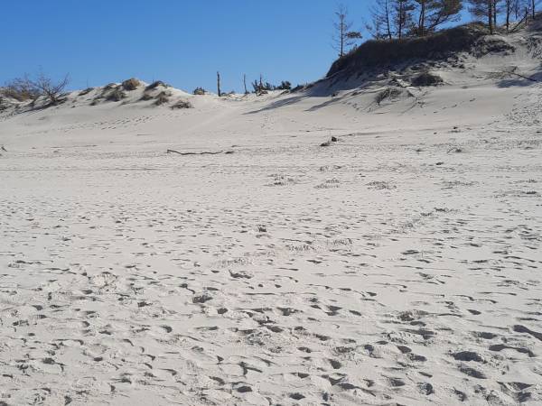 Plaża w Czołpinie. 