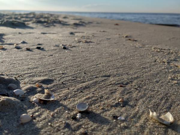 Pod Świerkami Domki Letniskowe Wisełka