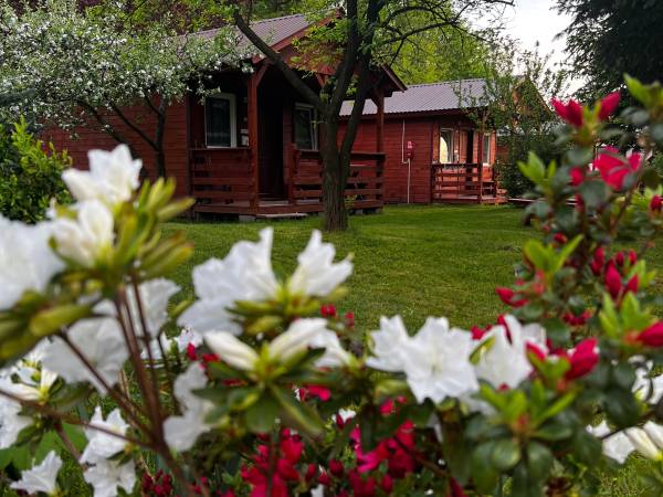 Domki Letniskowe W Ogrodzie