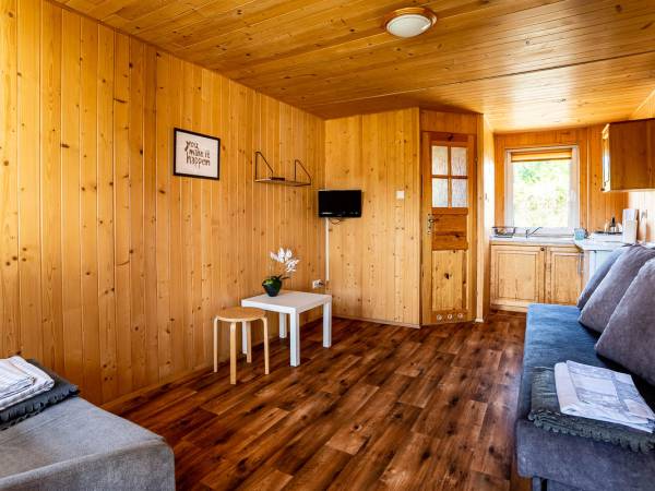 Pokój typu studio 2-3 osobowy