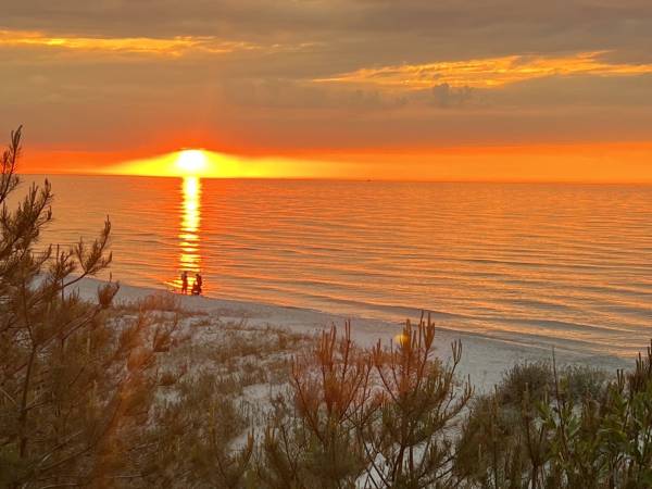 Lawendowe Domki- z basenem 