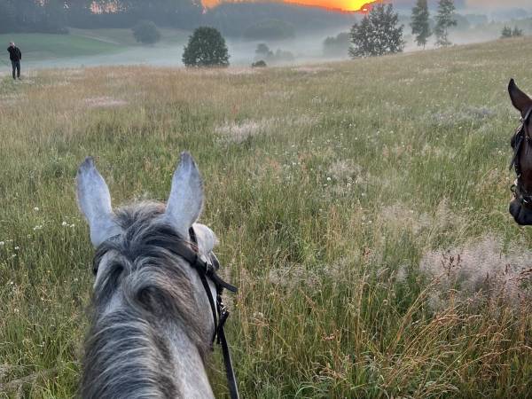 Lawendowe Domki- z basenem 