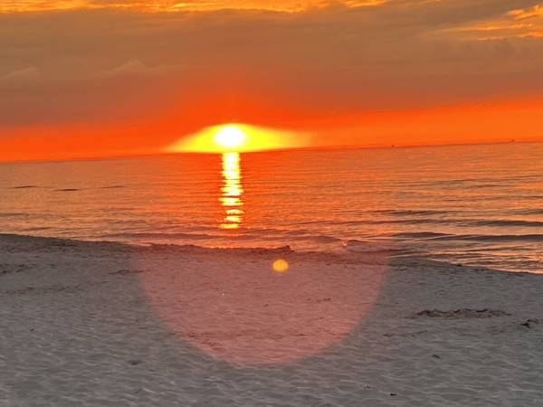 Lawendowe Domki- z basenem 