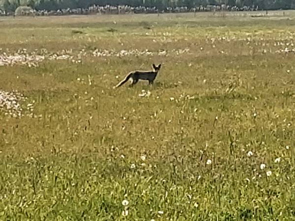 Wiejskie podwórze Ekologiczne gospodarstwo agroturystyczne